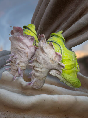 Current-Obsession - GEM-Z - exShoes by Simon Marsiglia Image by Tobias Groot and Elizaveta Federmesser